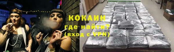 индика Алзамай