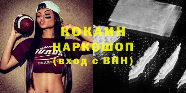 индика Алзамай