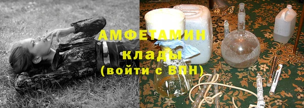 индика Алзамай