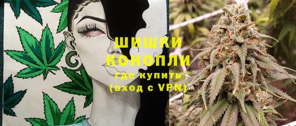 индика Алзамай