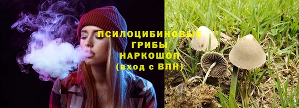 индика Алзамай