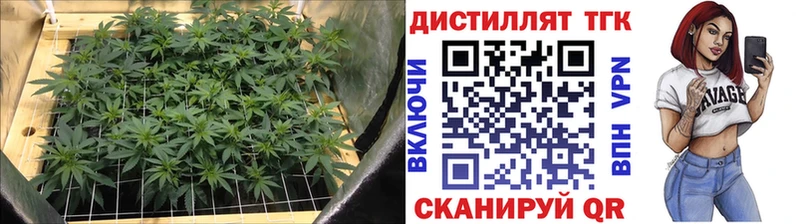 купить наркоту  нарко площадка как зайти  OMG ссылка  ТГК THC oil  Березники 