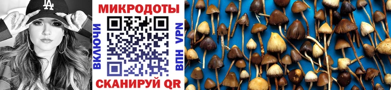 Псилоцибиновые грибы MAGIC MUSHROOMS  магазин  наркотиков  Березники 